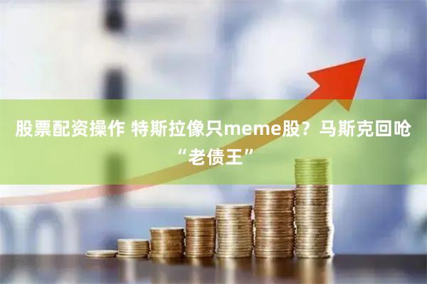 股票配资操作 特斯拉像只meme股？马斯克回呛“老债王”